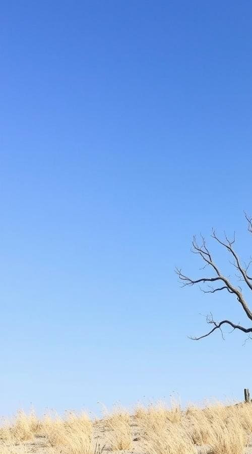 Easy No Bake Protein Brownie Bites Recipe – 10g Protein Per Serving 9 Pairing Suggestions for Maximum Fuel